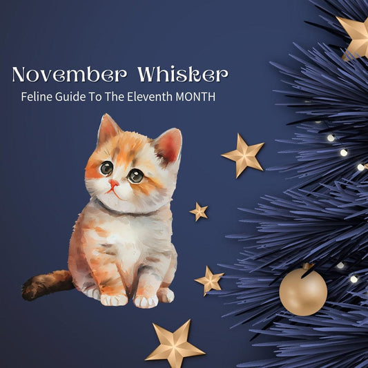 November Whiskers