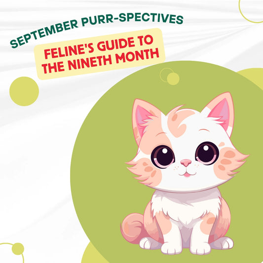 September Purr-spectives