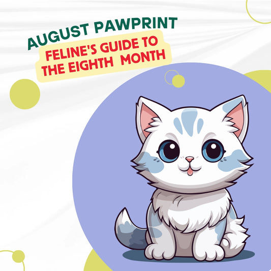 August Paw