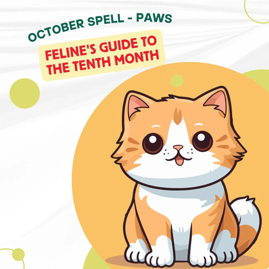 October Spell - Paws